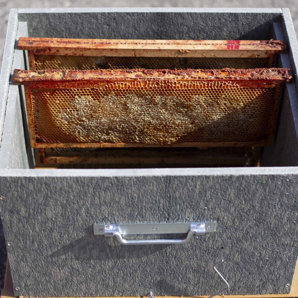 Corps ruche dadant 10 cadres