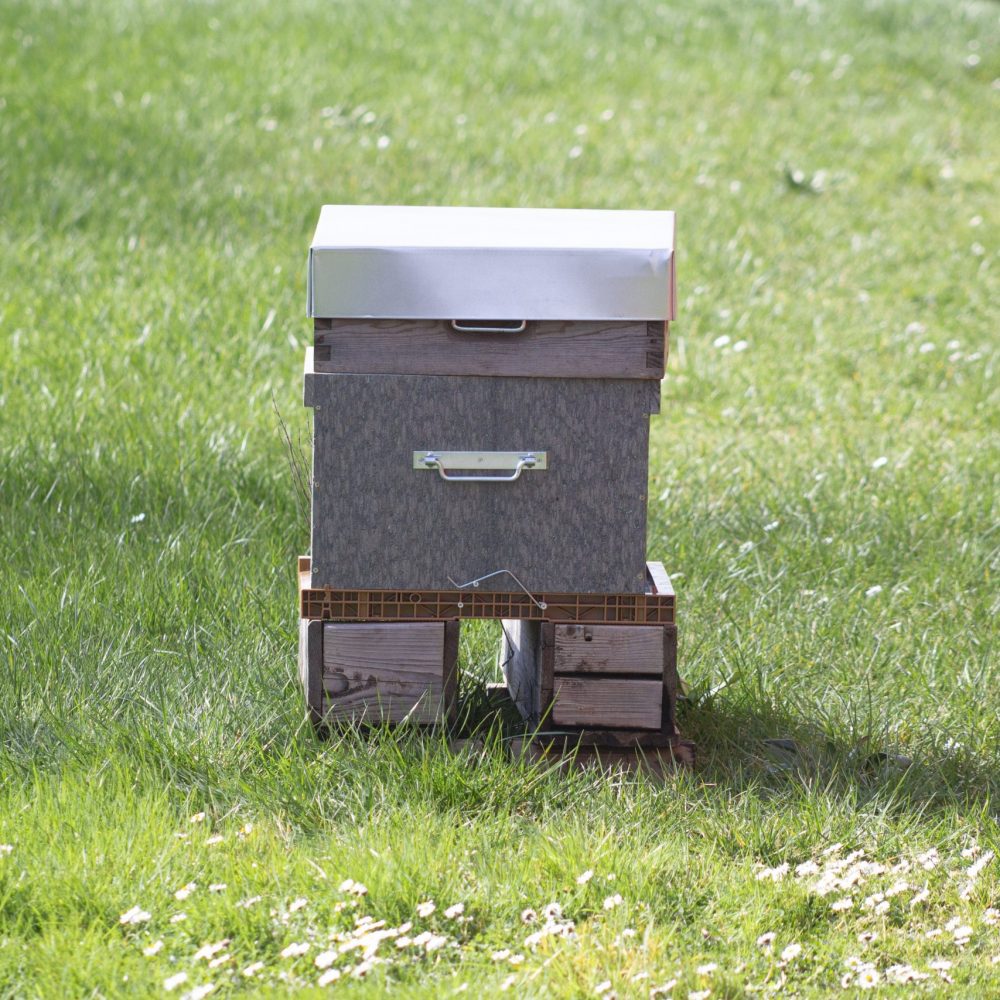 Ruche Dadant 10 cadres