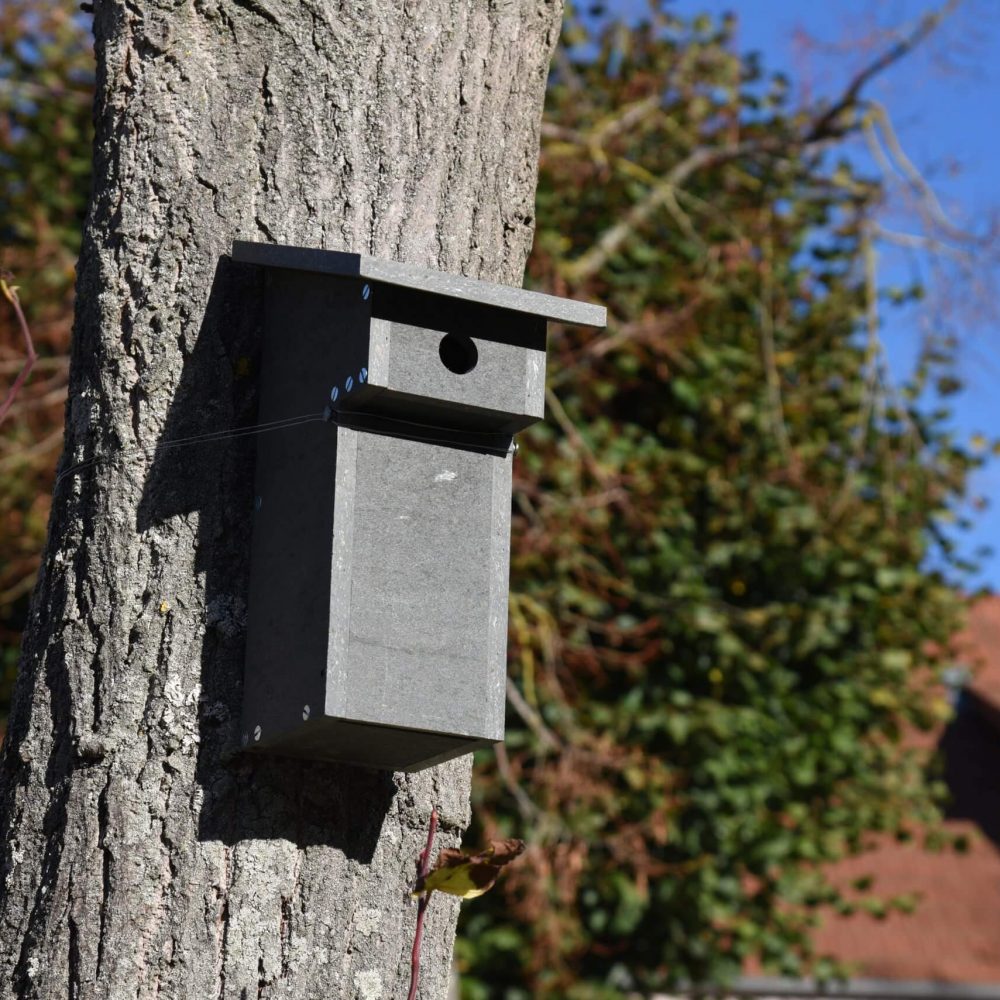 Recnorec_Nichoir à mésanges